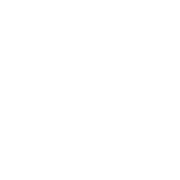 Диск заточной 1/4, 0.325, 3/8 (5шт в уп.) 145мм, 22,2мм, 3,2мм, Unisaw